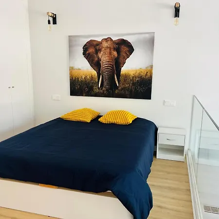Loft 007 Con Jardin, Piscina, Garaje Y Netflix Appartement San Sebastián de los Reyes Buitenkant foto